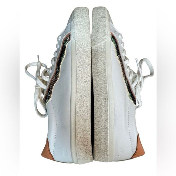 Madewell Sidewalk Low Top Sneaker in Wavy Snake - Picture 13 of 15